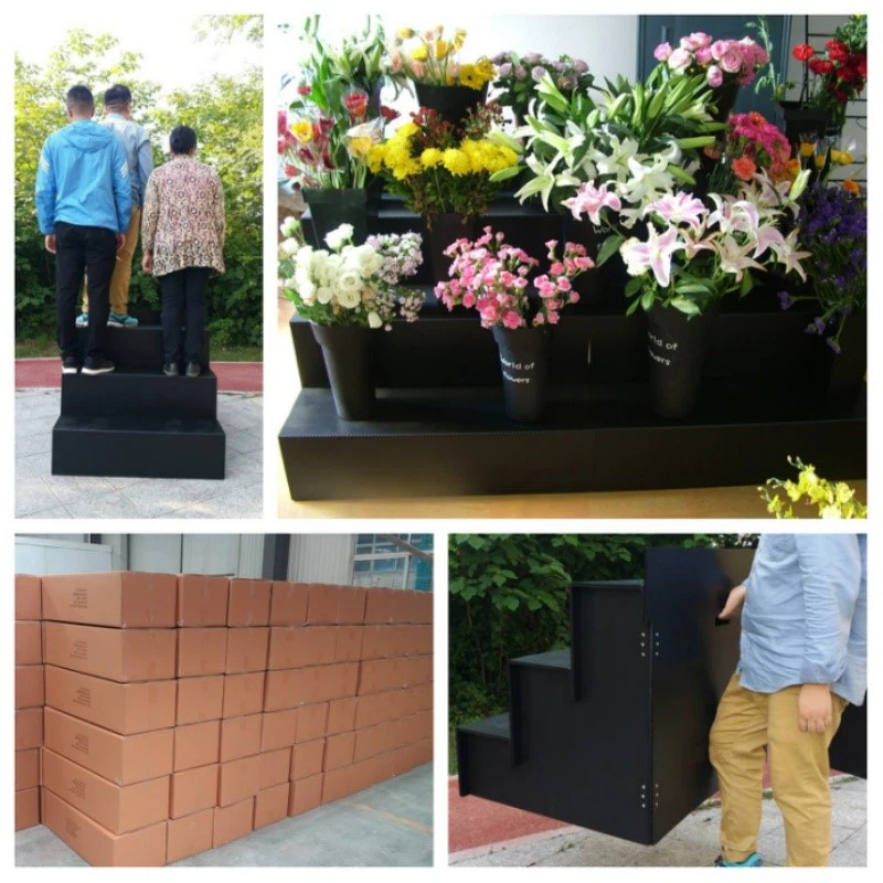 Step Display Step Display