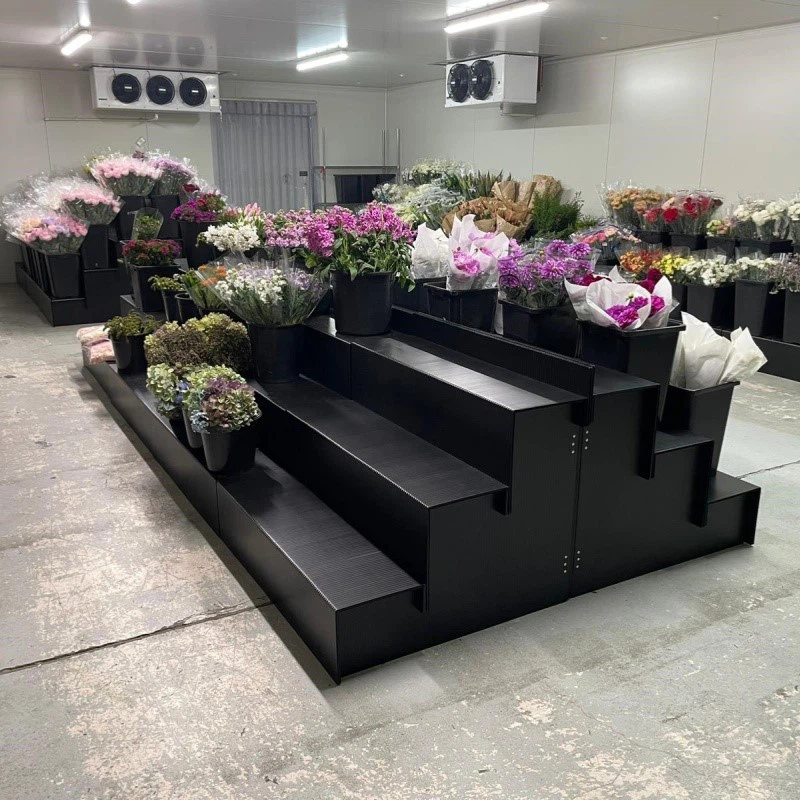 Step Display-1 Step Display-1