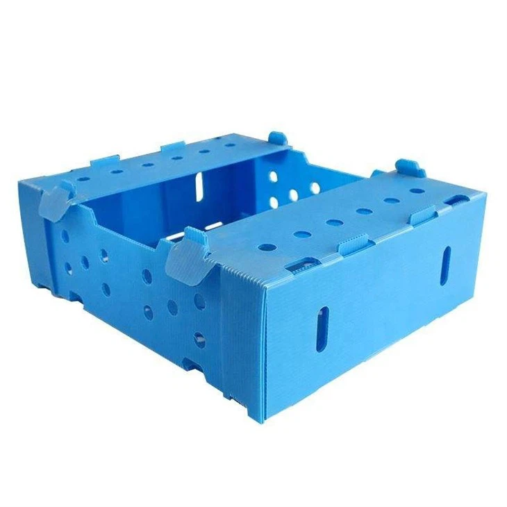 Plastic Box PP Corrugated Packaging Boxes
