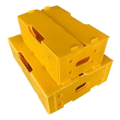 Taitettavat PP aaltopahvimuoviset hedelmälaatikot