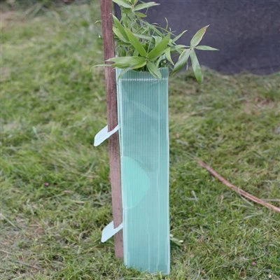 Muoviset Corflute Tree Guards -kasvinsuojeluaineet