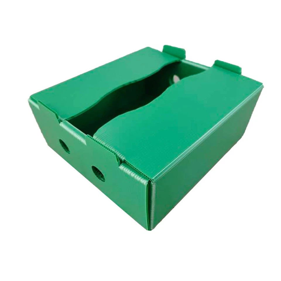 Custom Corrugated Plastic Storage Box factory