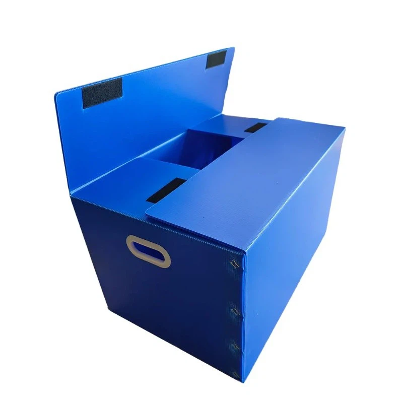 Customizable PP Packing Boxes factory