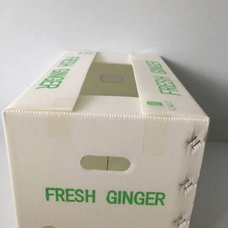 Lightweight Delicated Cofluted Box factory