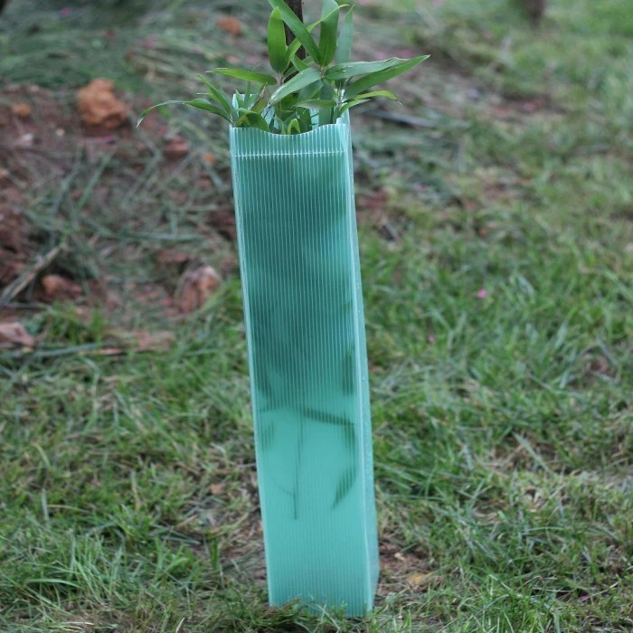 Outdoor Polypropylene Tree Guards Vine Protection