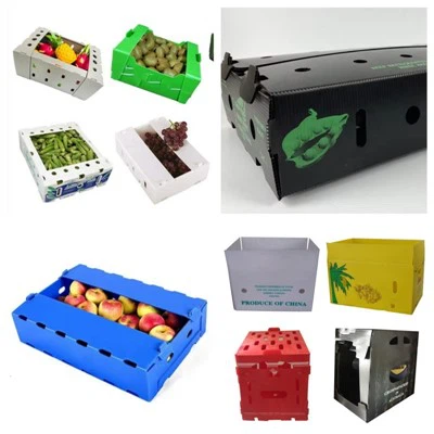 Hedelmien pakkauslaatikko