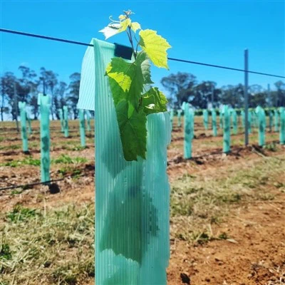 Mantis Fluted Tree Guards