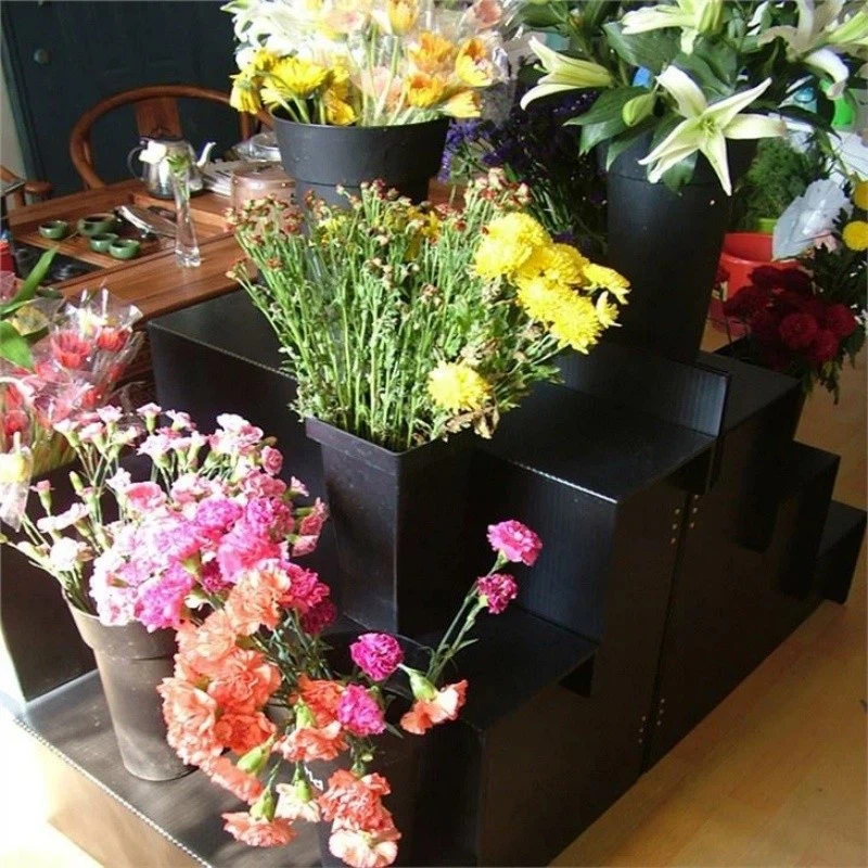 Step Display