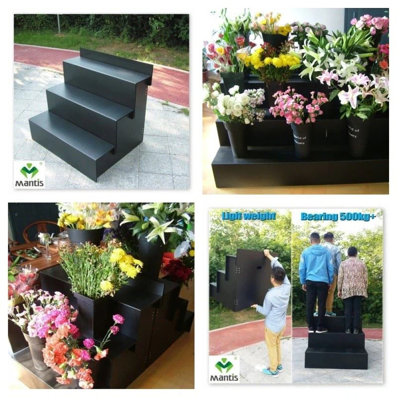 Step Display